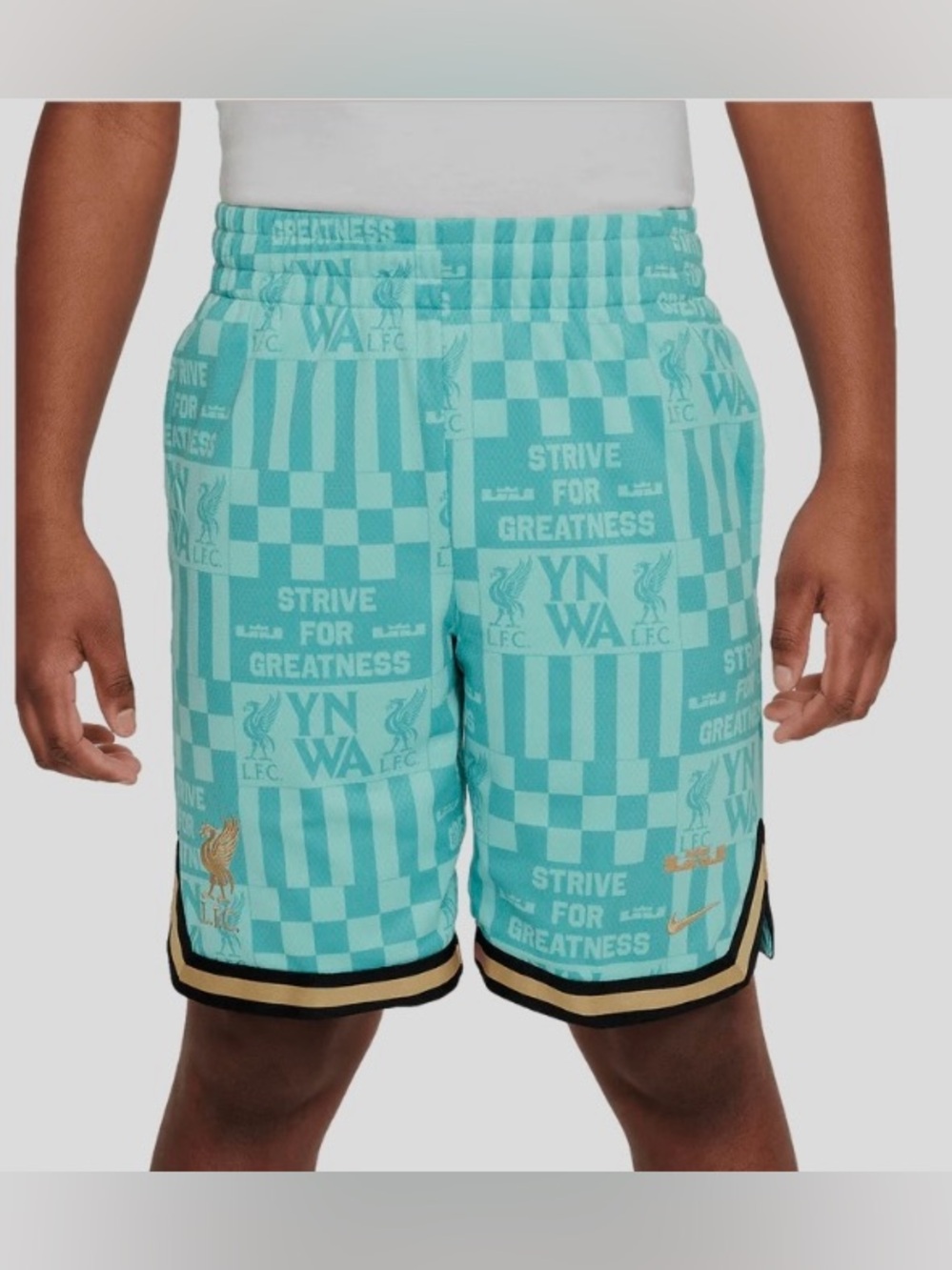 Nike Youth  Dr-Fit LeBron James X Liverpool  DNA Basketball Shorts  Size Medium